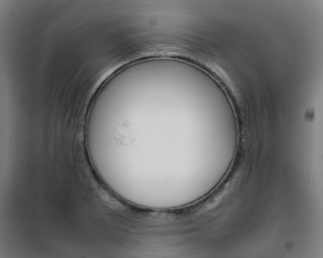 X0000102251081200807250856