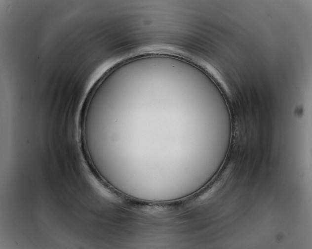 X0000102251082200807250856