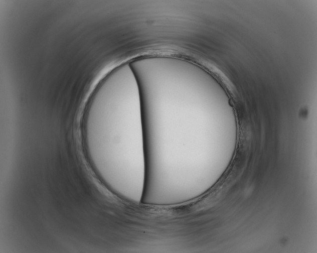 X0000102251083200807250856