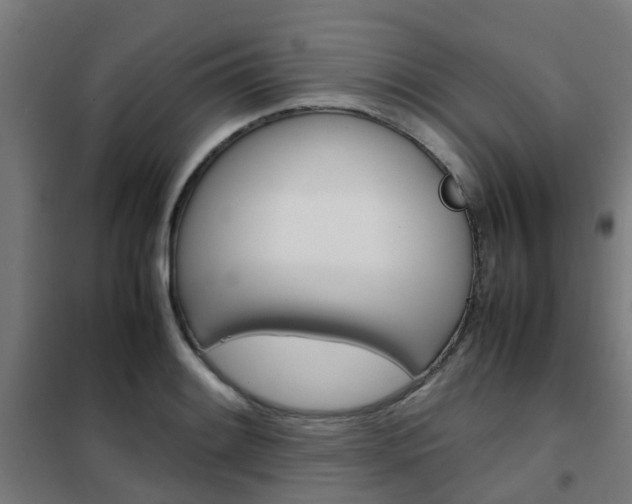 X0000102251084200807250856