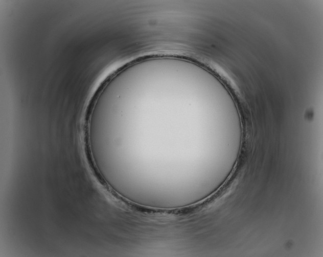 X0000102251085200807250856