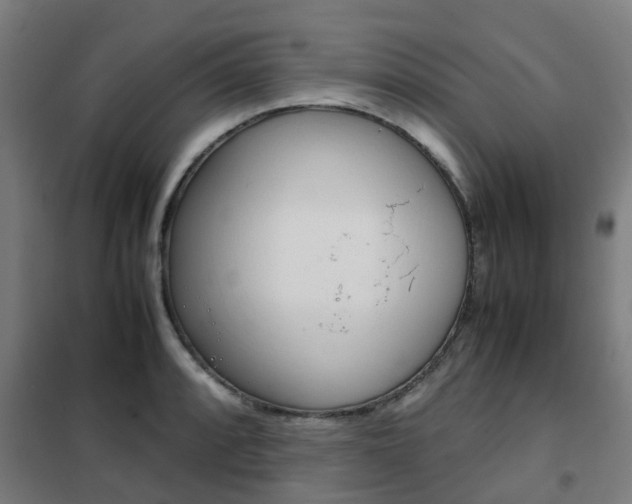 X0000102251088200807250855