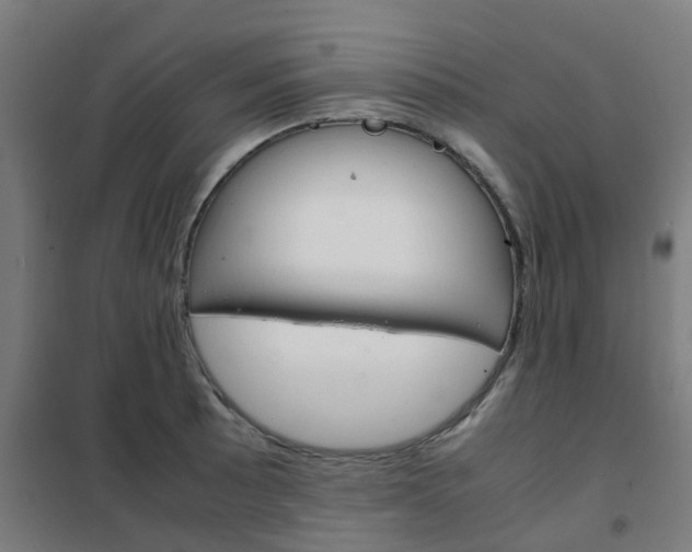 X0000102251089200807250855