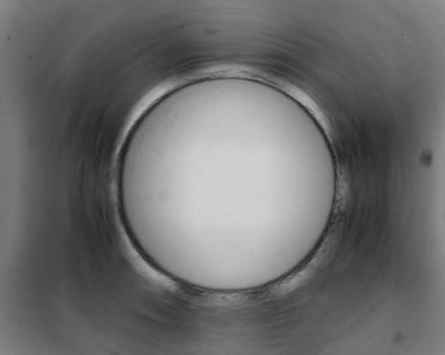 X0000102251090200807250855