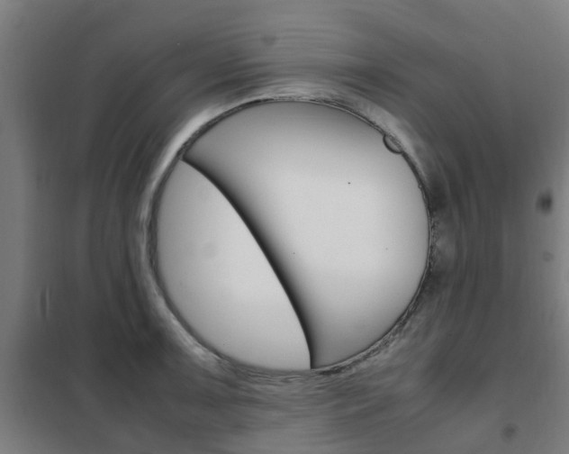 X0000102251091200807250855