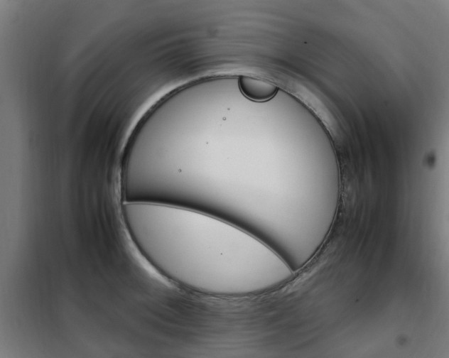 X0000102251092200807250855