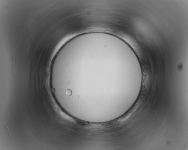 X0000102251094200807250855