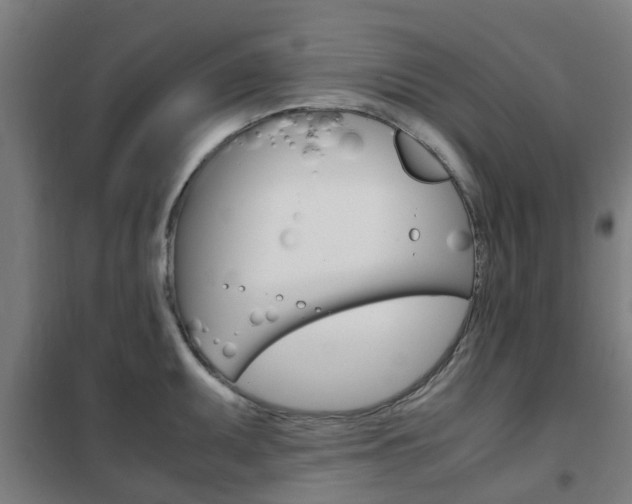 X0000102251095200807250855
