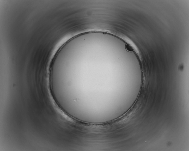 X0000102251096200807250855