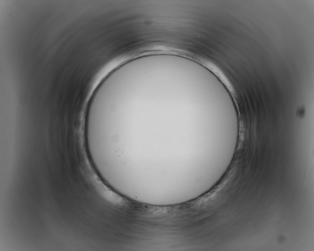 X0000102251098200807250855