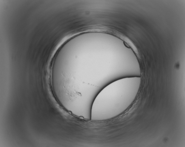 X0000102251099200807250855