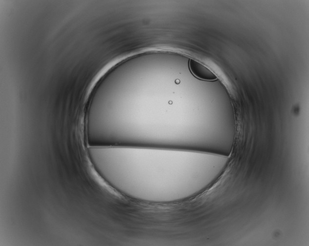 X0000102251100200807250855