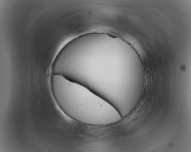 X0000102251103200807250855