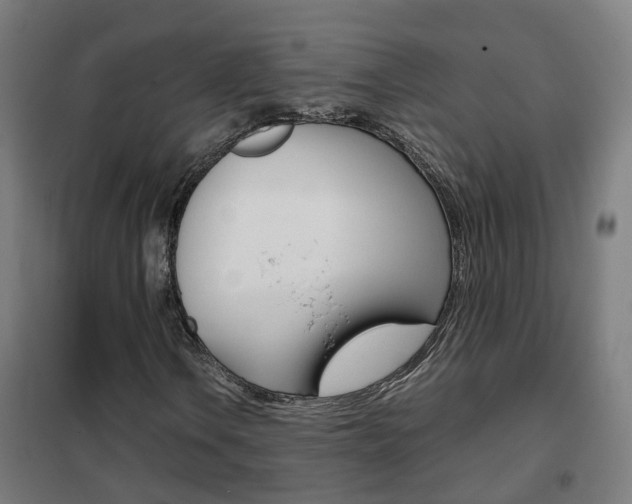 X0000102251106200807250855