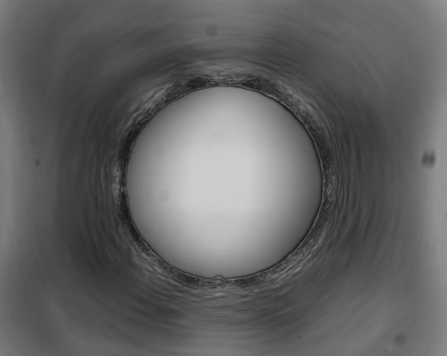 X0000102251108200807250855