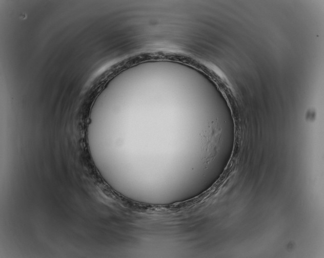 X0000102251112200807250855