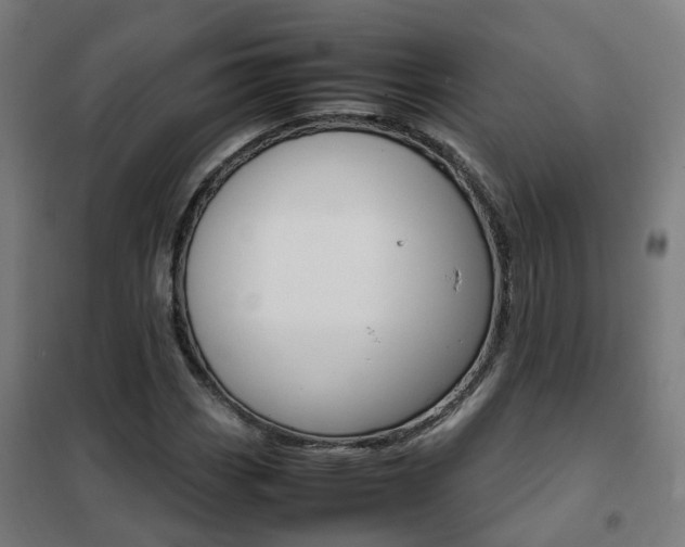 X0000102251113200807250855