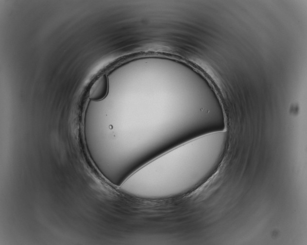 X0000102251115200807250855