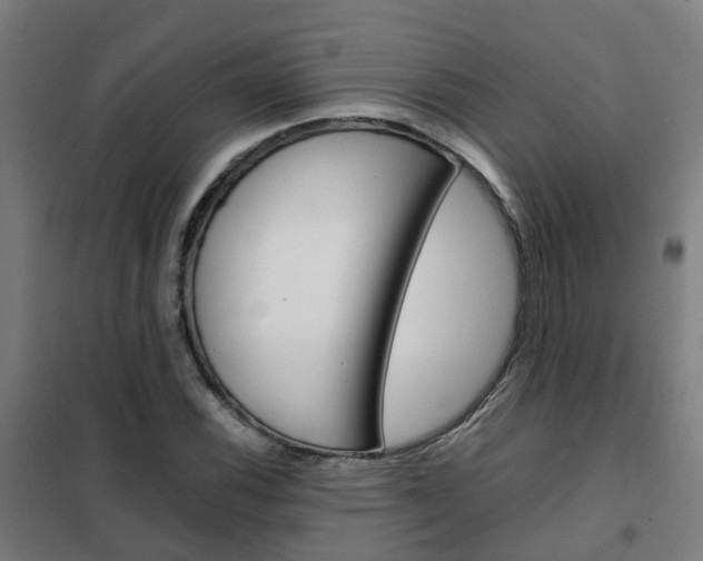 X0000102251116200807250855