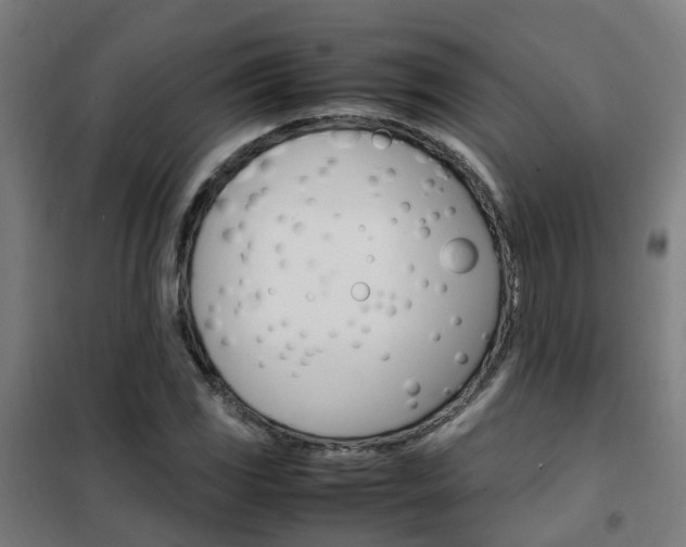 X0000102251117200807250855