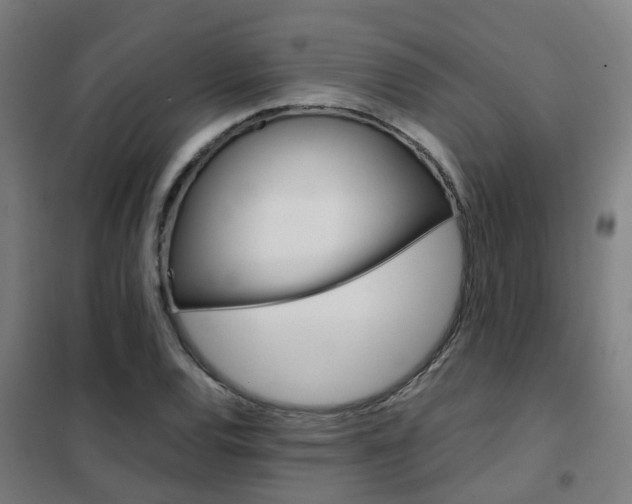 X0000102251120200807250855