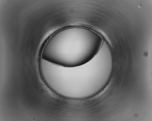 X0000102251122200807250855