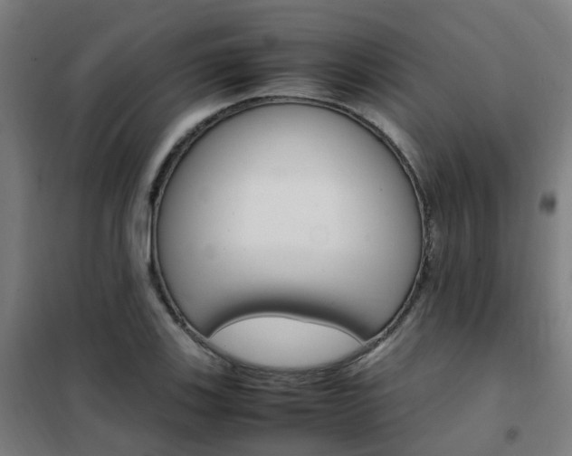 X0000102251123200807250855
