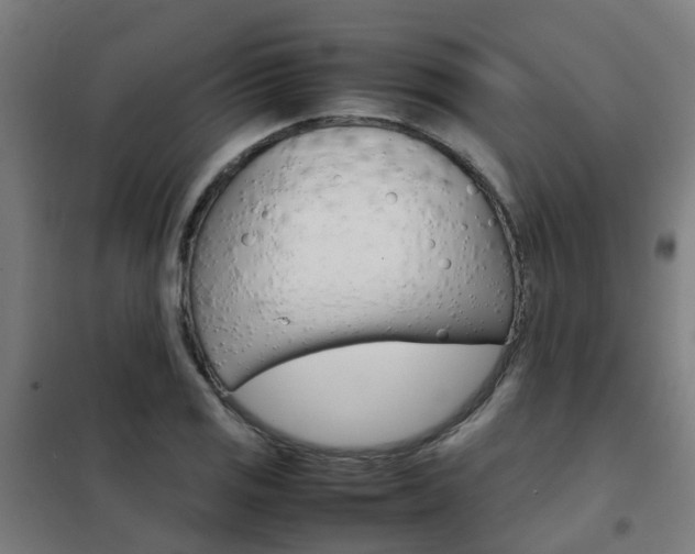 X0000102251125200807250855