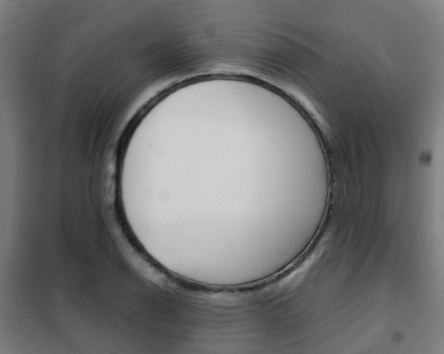 X0000102251126200807250855