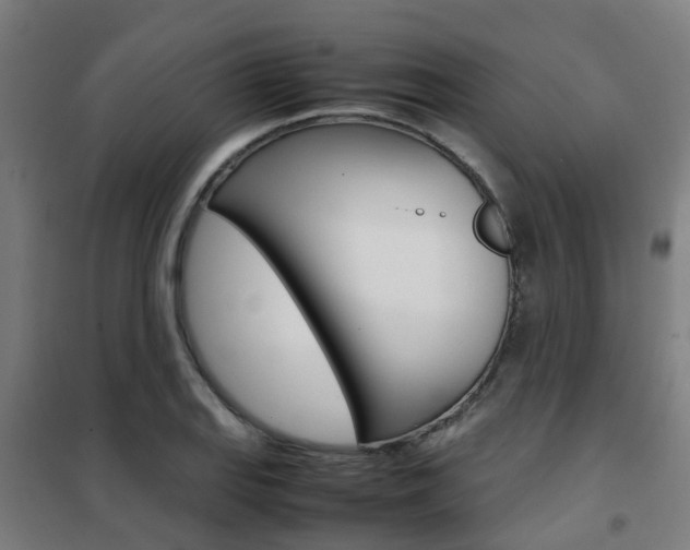 X0000102251127200807250855