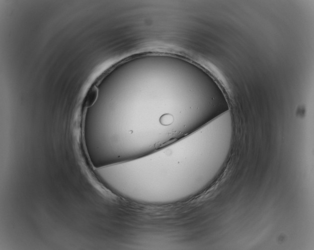 X0000102251128200807250855