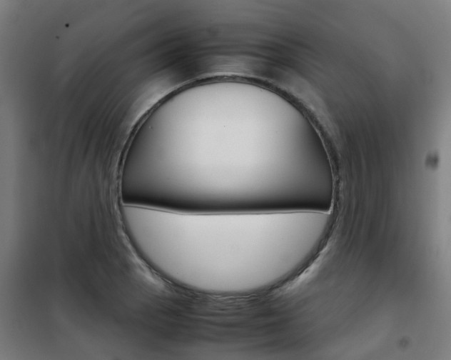 X0000102251129200807250855