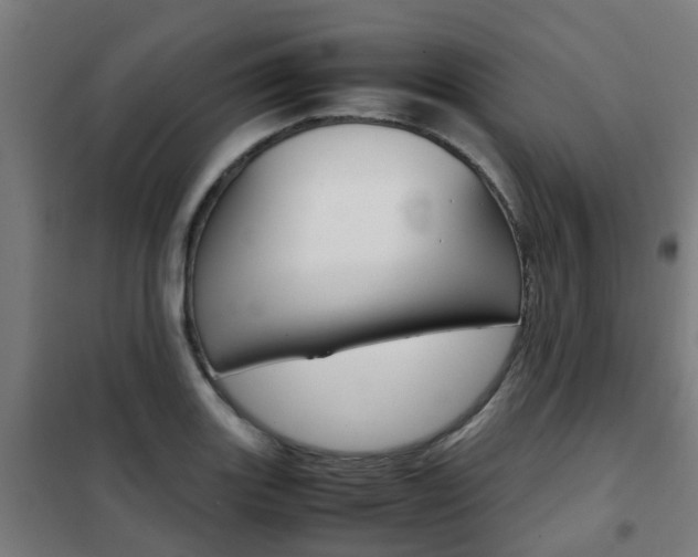 X0000102251131200807250855