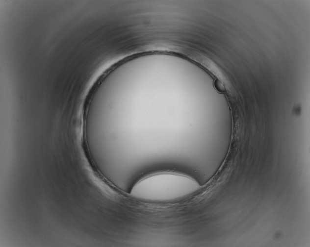 X0000102251132200807250855