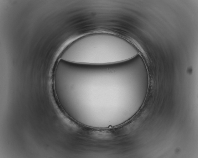 X0000102251133200807250855