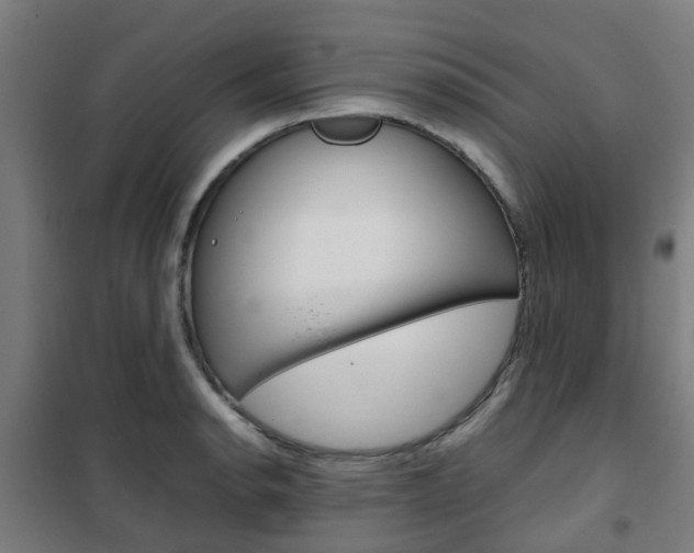 X0000102251134200807250855