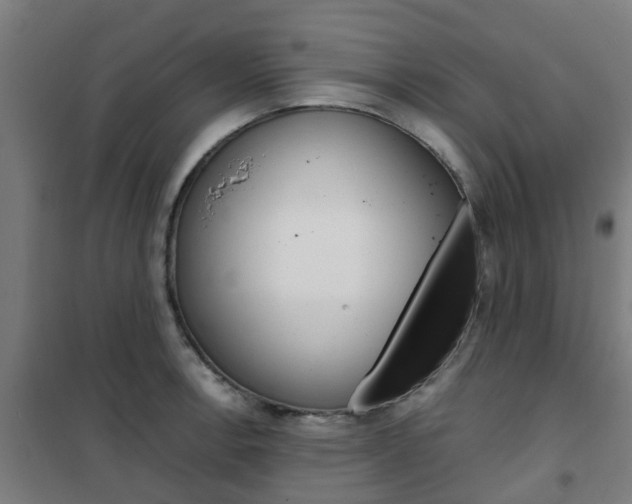 X0000102251138200807250855