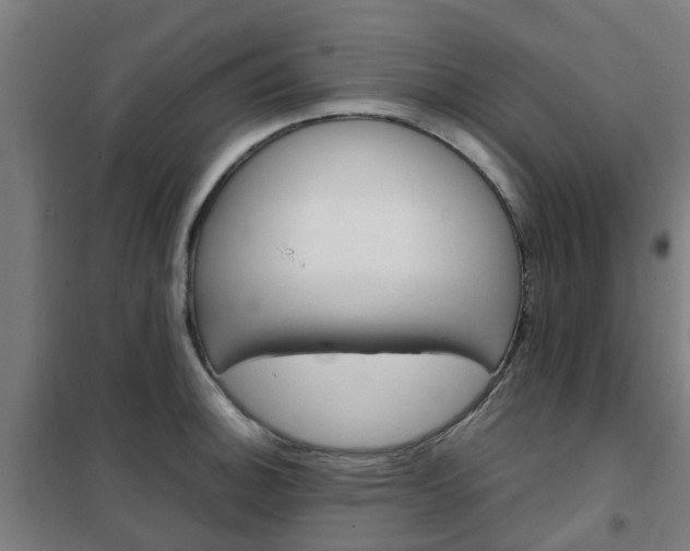 X0000102251140200807250855