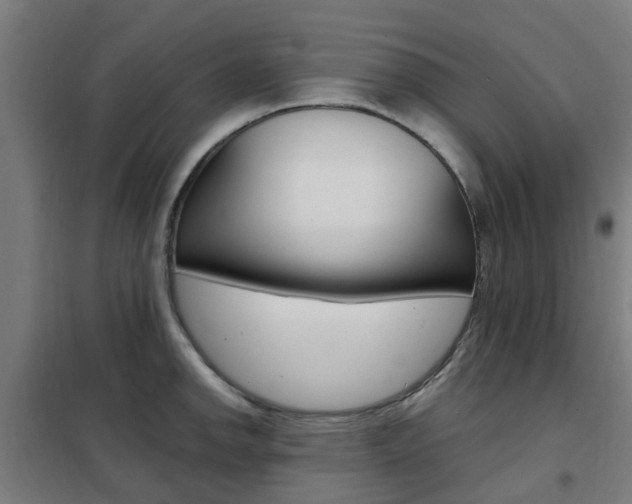 X0000102251142200807250855