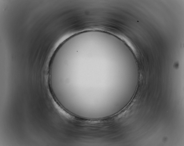 X0000102251143200807250855