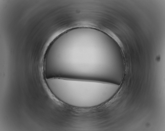 X0000102251144200807250855