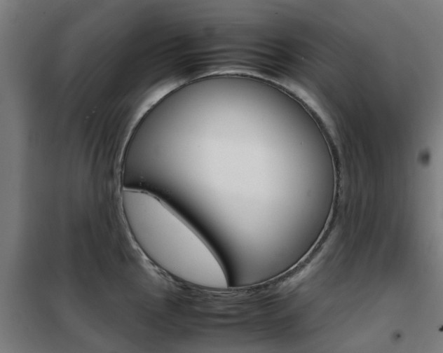 X0000102251145200807250855