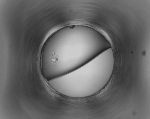 X0000102251146200807250855
