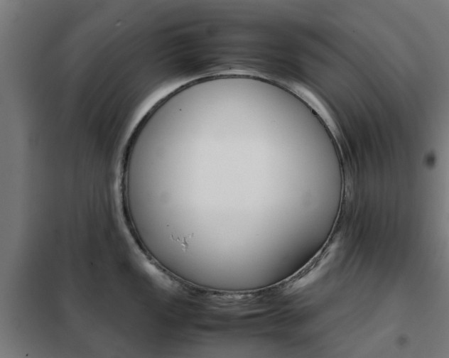 X0000102251149200807250855