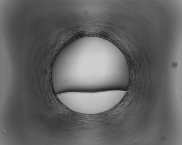 X0000102251153200807250855