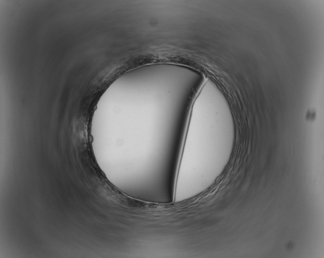 X0000102251155200807250855