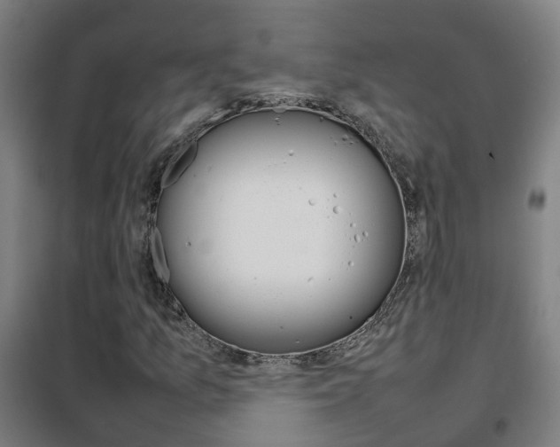 X0000102251157200807250855