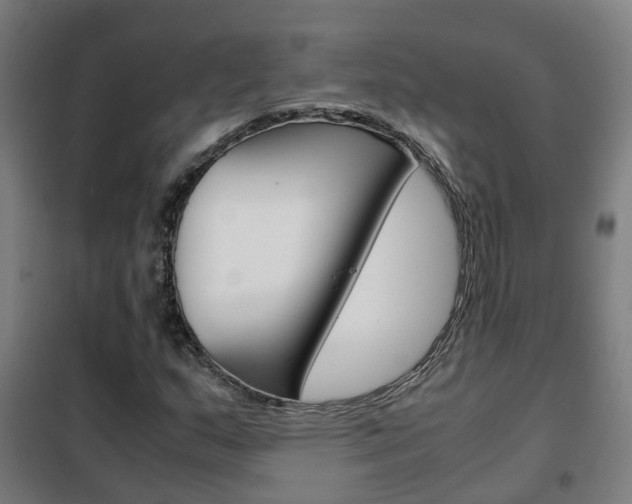 X0000102251159200807250855