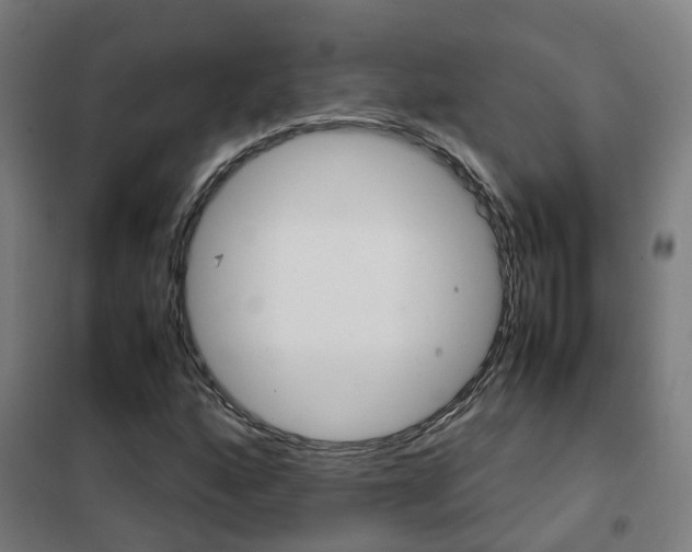 X0000102251160200807250854