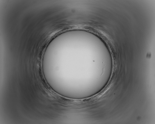 X0000102251161200807250854